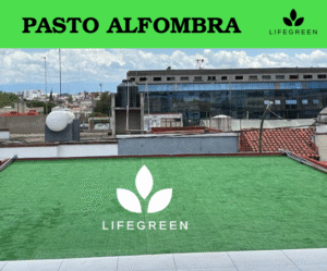 Captura de pantalla 2025-11-01 232421