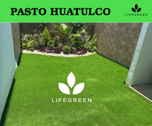 Captura de pantalla 2025-11-01 233527