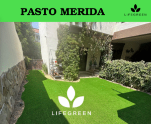 Captura de pantalla 2025-11-01 233539