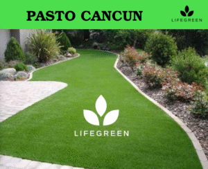 Captura de pantalla 2025-11-01 233552