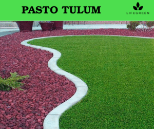 Captura de pantalla 2025-11-01 233601