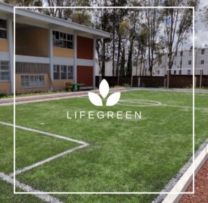 WhatsApp Image 2025-11-04 at 2.17.29 PM (1)