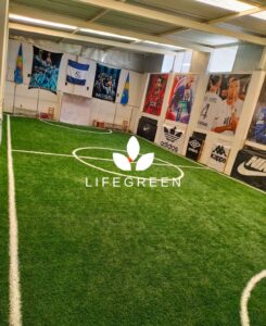 WhatsApp Image 2025-11-04 at 2.17.30 PM (1)