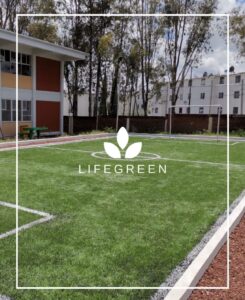 WhatsApp Image 2025-11-04 at 2.17.30 PM (3)