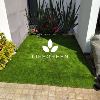 WhatsApp Image 2025-11-04 at 2.12.33 PM (2)