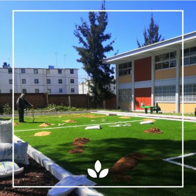 WhatsApp Image 2025-11-04 at 2.17.29 PM (2)