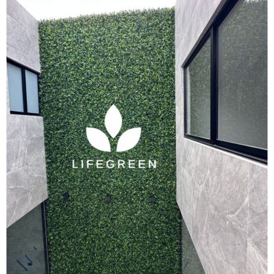 WhatsApp Image 2025-11-04 at 2.18.30 PM (1)