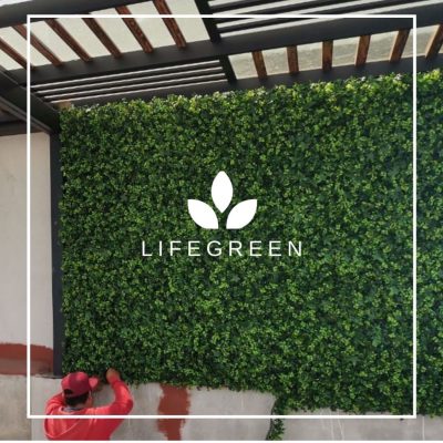 WhatsApp Image 2025-11-04 at 2.18.31 PM (3)