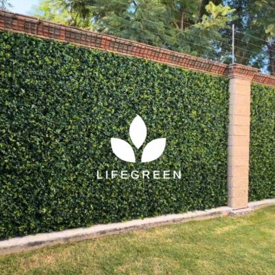 WhatsApp Image 2025-11-04 at 2.18.31 PM