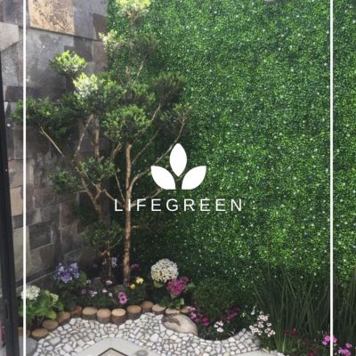 WhatsApp Image 2025-11-04 at 2.18.32 PM (1)