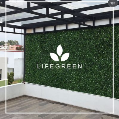 WhatsApp Image 2025-11-04 at 2.18.32 PM (2)