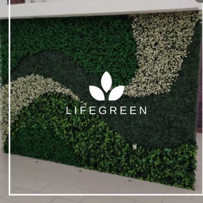 WhatsApp Image 2025-11-04 at 2.18.32 PM (3)