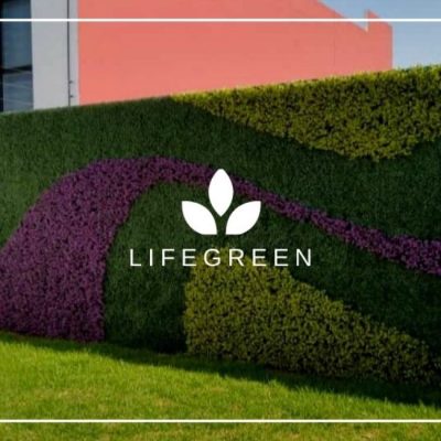 WhatsApp Image 2025-11-04 at 2.18.32 PM (4)