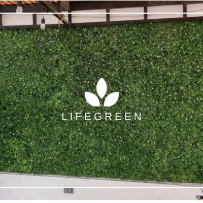 WhatsApp Image 2025-11-04 at 2.18.32 PM