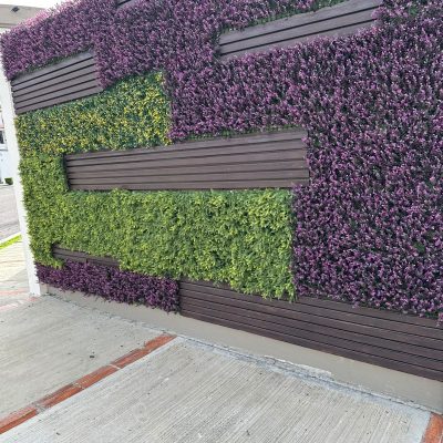 WhatsApp Image 2025-11-04 at 2.18.33 PM (3)