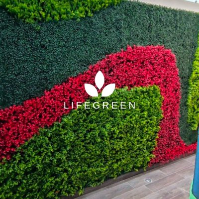 WhatsApp Image 2025-11-04 at 2.18.33 PM