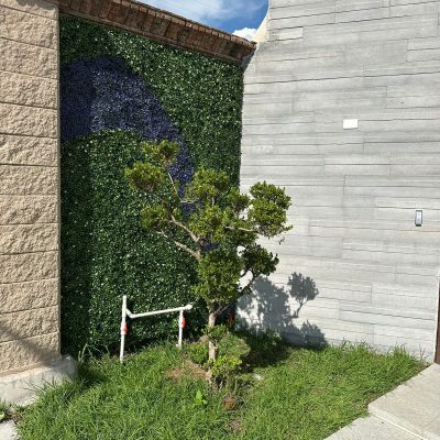 WhatsApp Image 2025-12-05 at 12.08.56 PM (1)