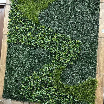 WhatsApp Image 2025-12-05 at 12.08.56 PM